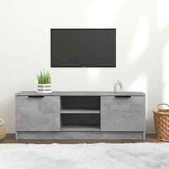 Televizoriaus spintelė, pilka, 102x35x36,5cm, apdirbta mediena kaina ir informacija | TV staliukai | pigu.lt