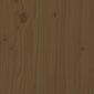 VidaXL Naktinė spintelė, medaus ruda, 40 x 35 x 61,5 cm, pušies masyvas kaina ir informacija | Spintelės prie lovos | pigu.lt