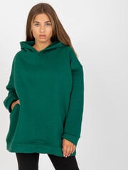 Džemepris moterims, žalios spalvos kaina ir informacija | Džemperiai moterims | pigu.lt