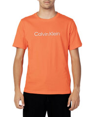 Marškinėliai vyrams Calvin Klein Performance, oranžiniai kaina ir informacija | Vyriški marškinėliai | pigu.lt