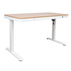 Письменный стол ERGO с 1 мотором 120x60xH72-121см, белый/дуб цена и информация | Компьютерные, письменные столы | pigu.lt