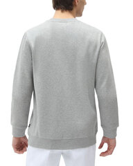 Džemperis vyrams Dickies, pilkas kaina ir informacija | Džemperiai vyrams | pigu.lt