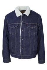 Мужская куртка Levi`s, синяя цена и информация | Мужские куртки | pigu.lt