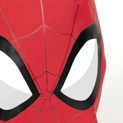 Детский рюкзак Spiderman, красный, 9 x 20 x 25 см цена и информация | Школьные рюкзаки, спортивные сумки | pigu.lt