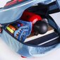 Mokyklinis krepšys Spiderman Mėlyna (25 x 31 x 10 cm) цена и информация | Kuprinės mokyklai, sportiniai maišeliai | pigu.lt