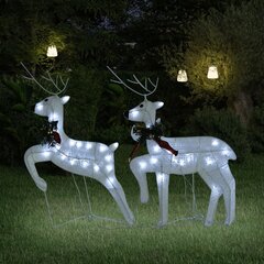 Kalėdiniai elniai, 40 LED lempučių, 2vnt. kaina ir informacija | Kalėdinės dekoracijos | pigu.lt