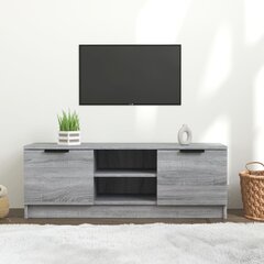 Televizoriaus spintelė, pilka ąžuolo, 102x35x36,5cm, mediena kaina ir informacija | TV staliukai | pigu.lt