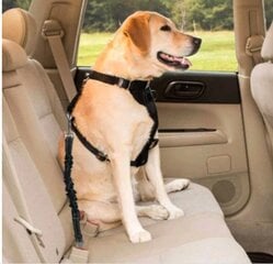 Saugos diržai šunims automobilio pavadėlis XXL цена и информация | Дорожные принадлежности | pigu.lt