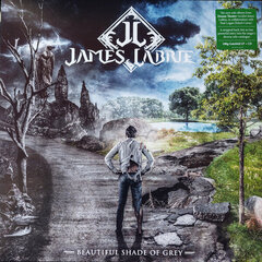 James LaBrie - Beautiful Shade Of Grey, LP, виниловая пластинка, 12" vinyl record, +CD цена и информация | Виниловые пластинки, CD, DVD | pigu.lt