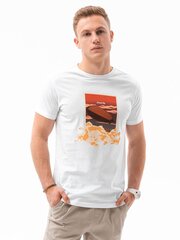 Marškinėliai vyrams Ombre AMD22559.1899 цена и информация | Мужские футболки | pigu.lt