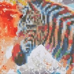 Deimantinė mozaika Zebra, 20x20 cm, C 89620 kaina ir informacija | Deimantinės mozaikos | pigu.lt