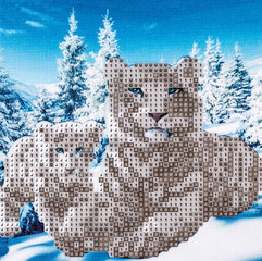 Алмазная мозаика "Тигры на снегу" 20x20 см, C 89740 цена и информация | Алмазная мозаика | pigu.lt