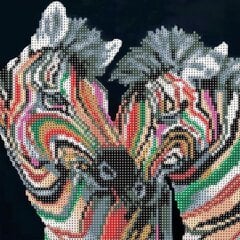 Deimantinė mozaika Spalvotas Zebras 30x30cm, C 89626 kaina ir informacija | Deimantinės mozaikos | pigu.lt