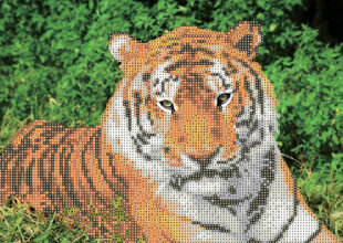 Deimantinė mozaika Tigras 30x40cm, C 89752 kaina ir informacija | Deimantinės mozaikos | pigu.lt