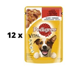 Корм для собак Pedigree с говядиной в желе, упаковка 12 шт. по 100 г цена и информация | Консервы для собак | pigu.lt