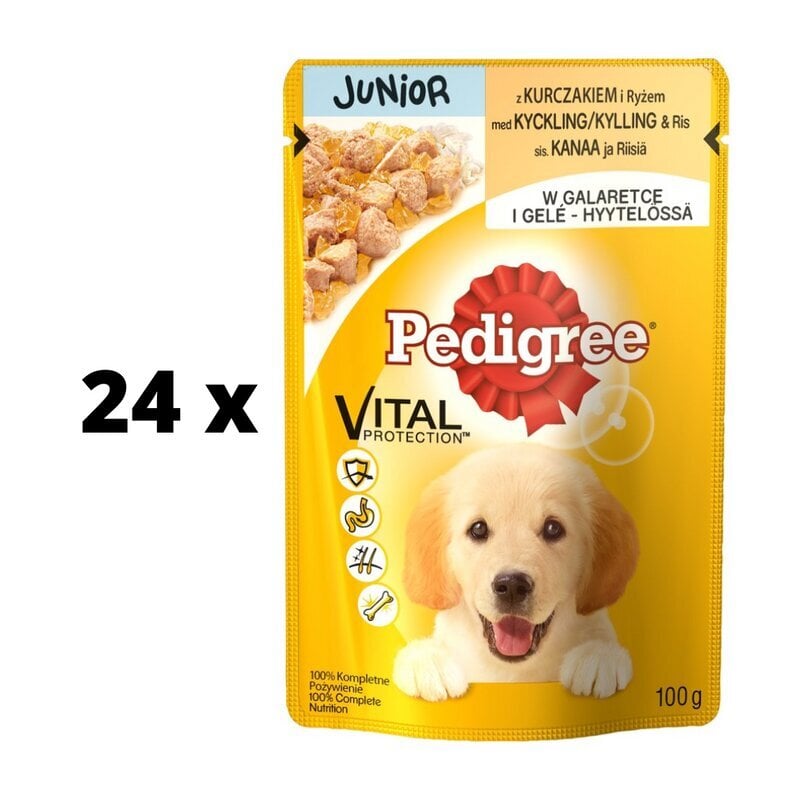 Pedigree Junior, konservai šunims su vištiena, 100 g. kaina ir informacija | Konservai šunims | pigu.lt