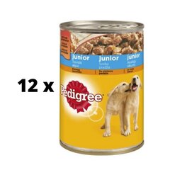 Консервированный корм для собак Pedigree Junior с курицей, упаковка 12 шт. по 400 г цена и информация | Консервы для собак | pigu.lt