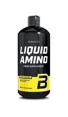 Biotech Liquid Amino 1000 ml, apelsinų skonio цена и информация | Аминокислоты | pigu.lt