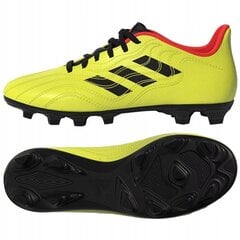 Futbolo bateliai Adidas copa sense, dydis 38 kaina ir informacija | Futbolo bateliai | pigu.lt