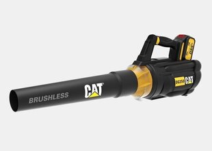 Пылесос для сбора листьев CORDLESS LEAF BLOWER 18V/DG250 CAT цена и информация | Пылесосы для сбора листьев, измельчители веток, очистители тротуарной плитки | pigu.lt