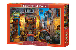 Dėlionė Castorland Our Special Place in Venice, 3000 detalių kaina ir informacija | Dėlionės (puzzle) | pigu.lt