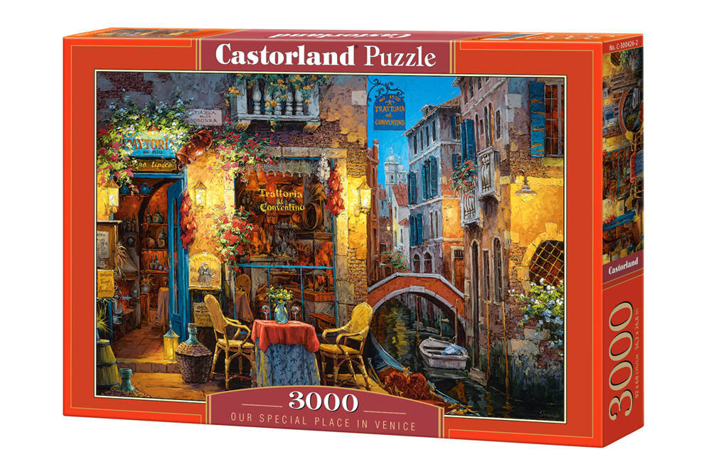 Dėlionė Castorland Our Special Place in Venice, 3000 detalių цена и информация | Dėlionės (puzzle) | pigu.lt