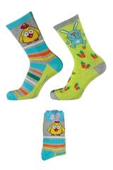 Пасхальные носки для детей Apollo Easter Socks, разных цветов, 2 пары цена и информация | Носки, колготки для мальчиков | pigu.lt