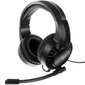 Gaming Headphones kaina ir informacija | Ausinės | pigu.lt