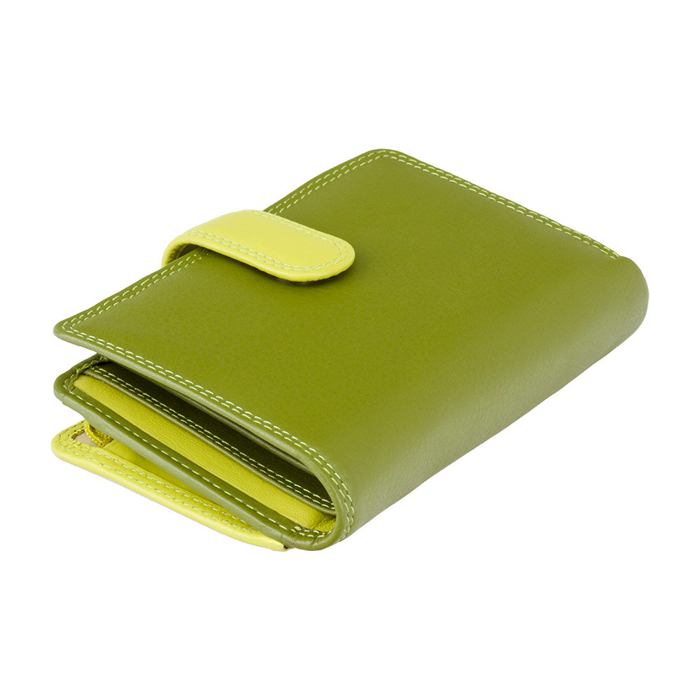Moteriška odinė piniginė Visconti RB51, žalia kaina ir informacija | Piniginės, kortelių dėklai moterims | pigu.lt