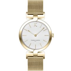 Часы Pierre Cardin MADELEINE Plissée CMD.3507 цена и информация | Женские часы | pigu.lt