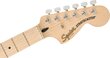 Elektrinė gitara Fender Affinity Series™ Stratocaster® kaina ir informacija | Gitaros | pigu.lt