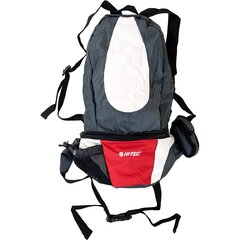Рюкзак - HI-TEC 2W1, 2 в 1 цена и информация | Рюкзаки и сумки | pigu.lt