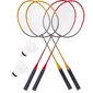 Badmintono ir tinklinio rinkinys Enero 10in1 kaina ir informacija | Badmintonas | pigu.lt