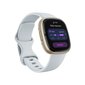 Fitbit Sense 2 Blue Mist/Soft Gold kaina ir informacija | Išmanieji laikrodžiai (smartwatch) | pigu.lt