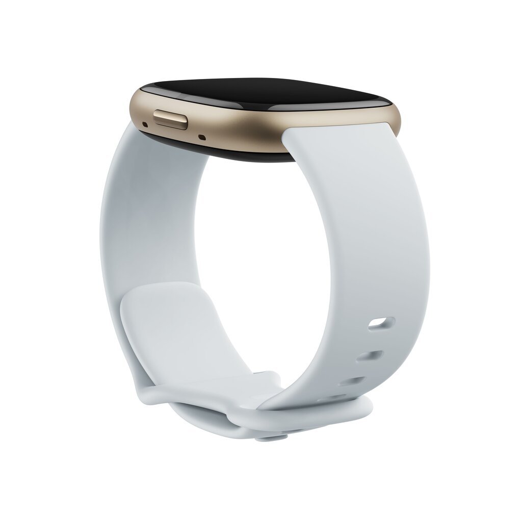 Fitbit Sense 2 Blue Mist/Soft Gold kaina ir informacija | Išmanieji laikrodžiai (smartwatch) | pigu.lt