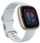 Fitbit Sense 2 Blue Mist/Soft Gold цена и информация | Išmanieji laikrodžiai (smartwatch) | pigu.lt