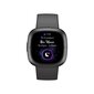 Fitbit Sense 2 Shadow Grey/Graphite kaina ir informacija | Išmanieji laikrodžiai (smartwatch) | pigu.lt