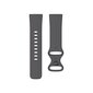 Fitbit Sense 2 Shadow Grey/Graphite kaina ir informacija | Išmanieji laikrodžiai (smartwatch) | pigu.lt