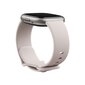 Fitbit Sense 2 Lunar White/Platinum цена и информация | Išmanieji laikrodžiai (smartwatch) | pigu.lt