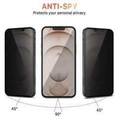 Защитное стекло Anti-Spy для экрана iPhone 13 Pro Max (6,7″) цена и информация | Защитные пленки для телефонов | pigu.lt