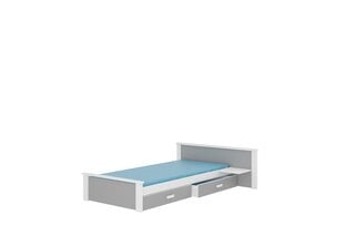 Vaikiška lova su lentyna Aldex Shelf 208x106x72cm kaina ir informacija | Vaikiškos lovos | pigu.lt