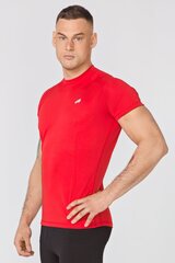 Мужская термоактивная футболка FURY цена и информация | Мужская спортивная одежда | pigu.lt