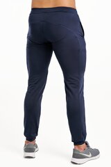 Тренировочные брюки SNAPPY LONG цена и информация | Мужская спортивная одежда | pigu.lt