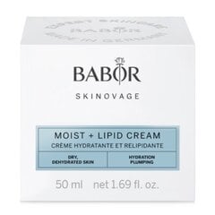 Drėkinantis lipidinis veido kremas Babor Skinovage Moist+Lipid Cream, 50 ml kaina ir informacija | Veido kremai | pigu.lt