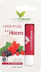 Lūpų balzamas Cosnature Red Fruits, 4,8 ml kaina ir informacija | Lūpų dažai, blizgiai, balzamai, vazelinai | pigu.lt