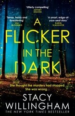 Flicker in the Dark цена и информация | Романы | pigu.lt