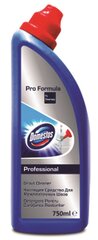 Domestos Professional tualeto valiklis, 750 ml kaina ir informacija | Valikliai | pigu.lt