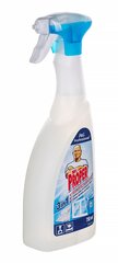 Mr. Proper valymo skystis, 750ml kaina ir informacija | Valymo reikmenys ir priedai | pigu.lt