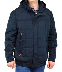 Куртка мужская Bosman 2409 DD цена и информация | Мужские куртки | pigu.lt