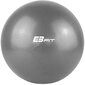 Gimnastikos kamuolys EB Fit, 25 cm, pilkas kaina ir informacija | Gimnastikos kamuoliai | pigu.lt